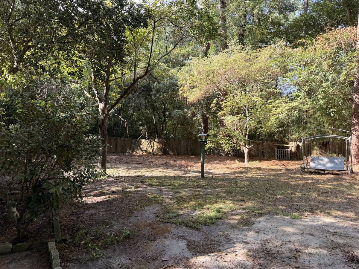 Same backyard cleared down to open ground